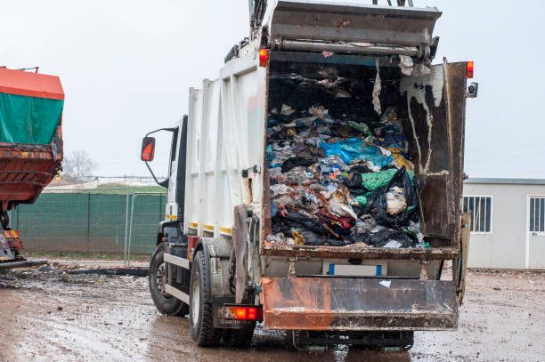 Best Dumpster Rental Services  in University Center, VA